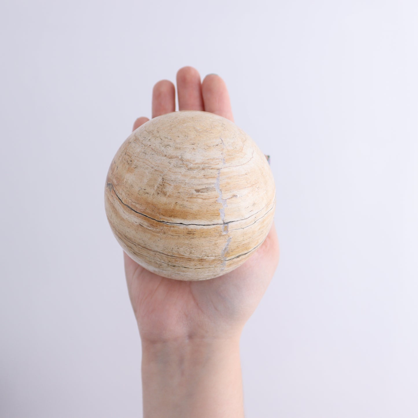 Petrified Wood Spheres Set of 4 - Expert Wholesale and Supplier of Wholesale Crystals & Bulk Gemstones, ["Indonesia","Petrified Wood","Spheres"]