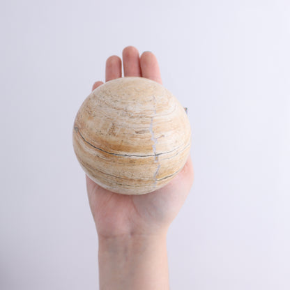 Petrified Wood Spheres Set of 4 - Expert Wholesale and Supplier of Wholesale Crystals & Bulk Gemstones, ["Indonesia","Petrified Wood","Spheres"]