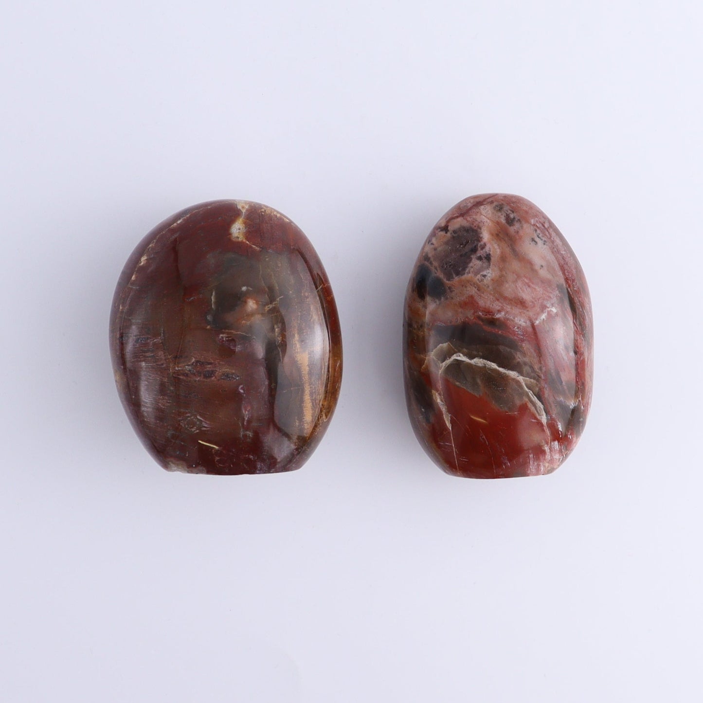 Petrified Wood Freeforms Set of 6 - Expert Wholesale and Supplier of Wholesale Crystals & Bulk Gemstones, ["Freeform","Freeforms","Madagascar","Petrified Wood"]