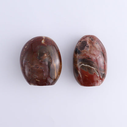 Petrified Wood Freeforms Set of 6 - Expert Wholesale and Supplier of Wholesale Crystals & Bulk Gemstones, ["Freeform","Freeforms","Madagascar","Petrified Wood"]