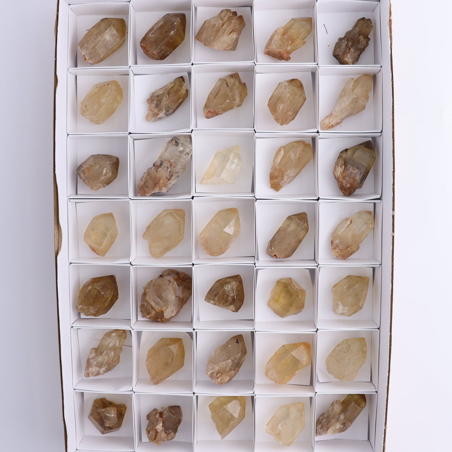 Congo Citrine Set of 35