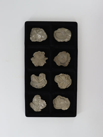 Pyrite Slices and Slabs Set of 8 - Expert Wholesale and Supplier of Wholesale Crystals & Bulk Gemstones, []