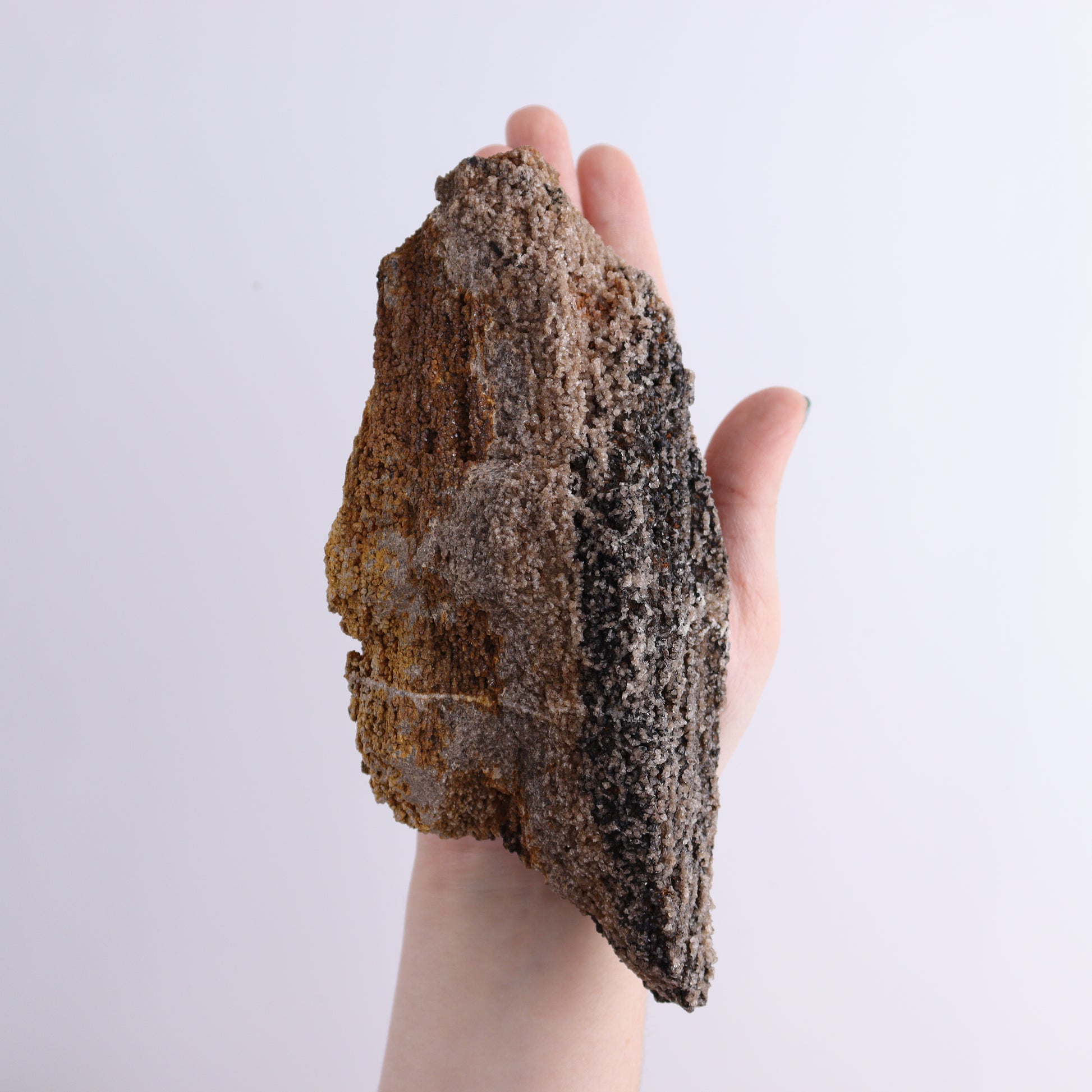 Petrified Wood Rough Set of 3 - Expert Wholesale and Supplier of Wholesale Crystals & Bulk Gemstones, ["Freeforms","Petrified Wood","Rough"]