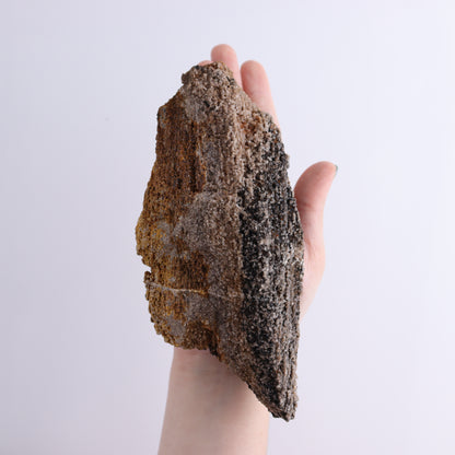 Petrified Wood Rough Set of 3 - Expert Wholesale and Supplier of Wholesale Crystals & Bulk Gemstones, ["Freeforms","Petrified Wood","Rough"]