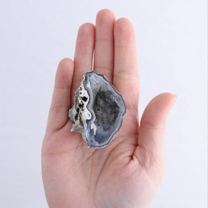 Agatized Coral Flat - Expert Wholesale and Supplier of Wholesale Crystals & Bulk Gemstones, ["Agate","Agatized Coral","Coral","United States"]
