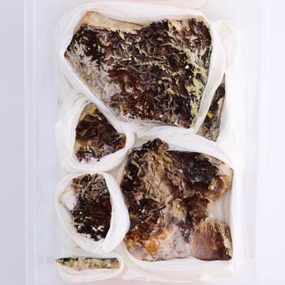 Morocco Mineral Flat - Expert Wholesale and Supplier of Wholesale Crystals & Bulk Gemstones, ["close_70","Flats","Morocco"]