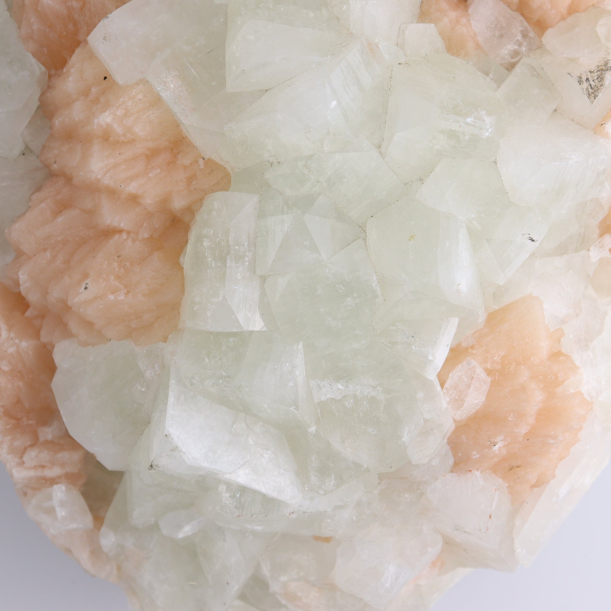 Large Apophyllite Cluster - Expert Wholesale and Supplier of Wholesale Crystals & Bulk Gemstones, ["Apophyllite","close_50","Clusters"]