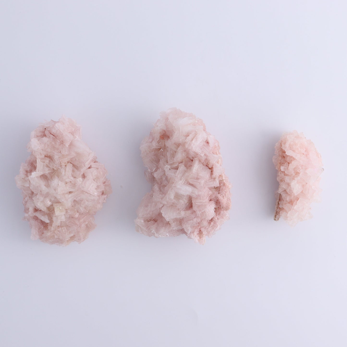 Searles Lake Pink Halite Flat of 13 - Expert Wholesale and Supplier of Wholesale Crystals & Bulk Gemstones, ["Flats","Halite","Pink Halite","United States"]