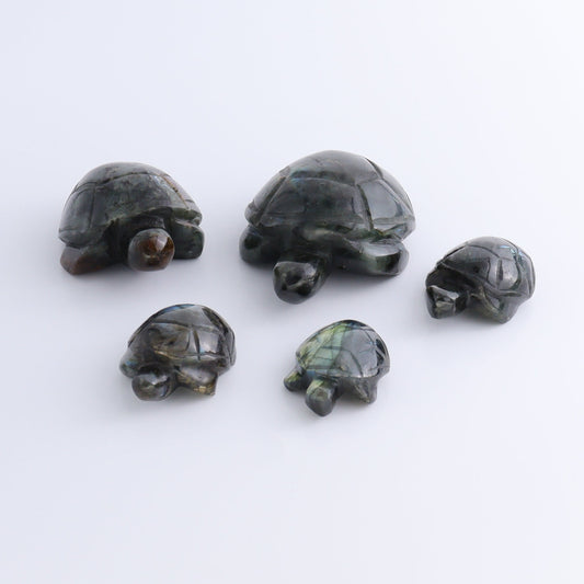 Labradorite Turtles Set of 5