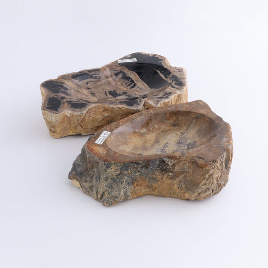 Petrified Wood Bowls Set of 2