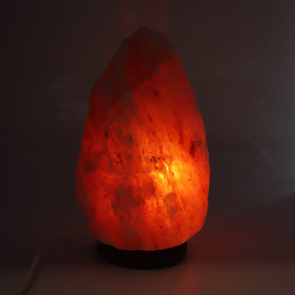 One Himalayan Salt Lamp
