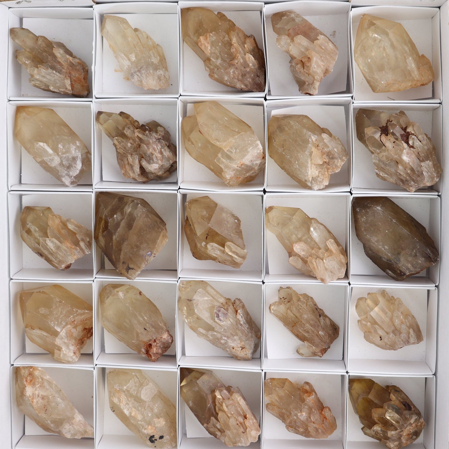 Congo Citrine Set of 35