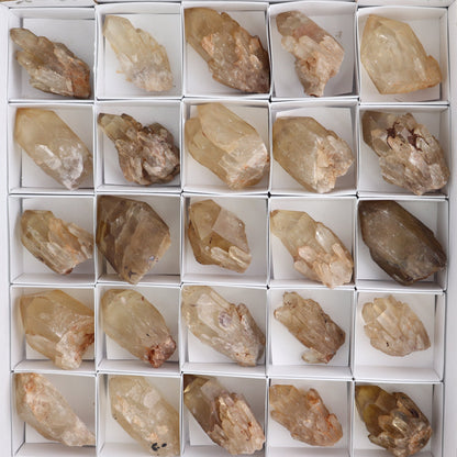 Congo Citrine Set of 35