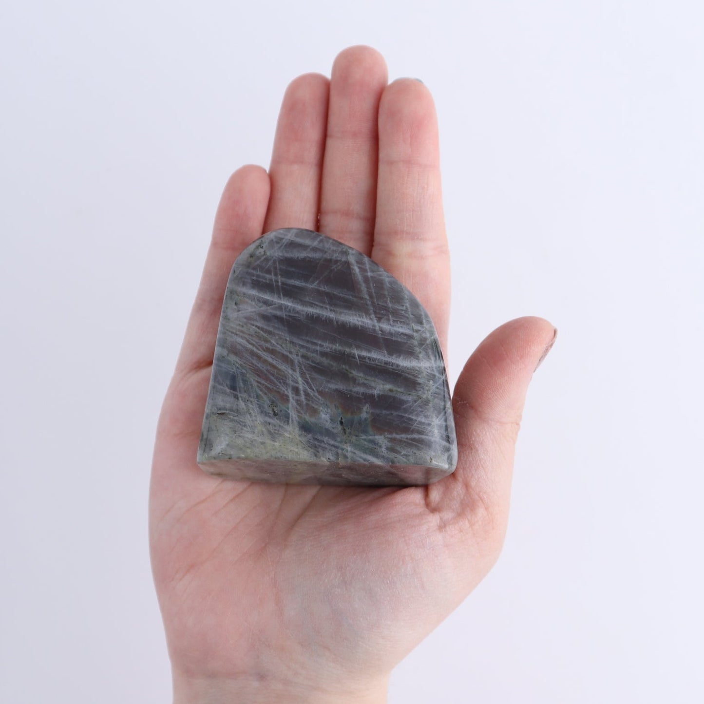 Labradorite Freeform Set of 5