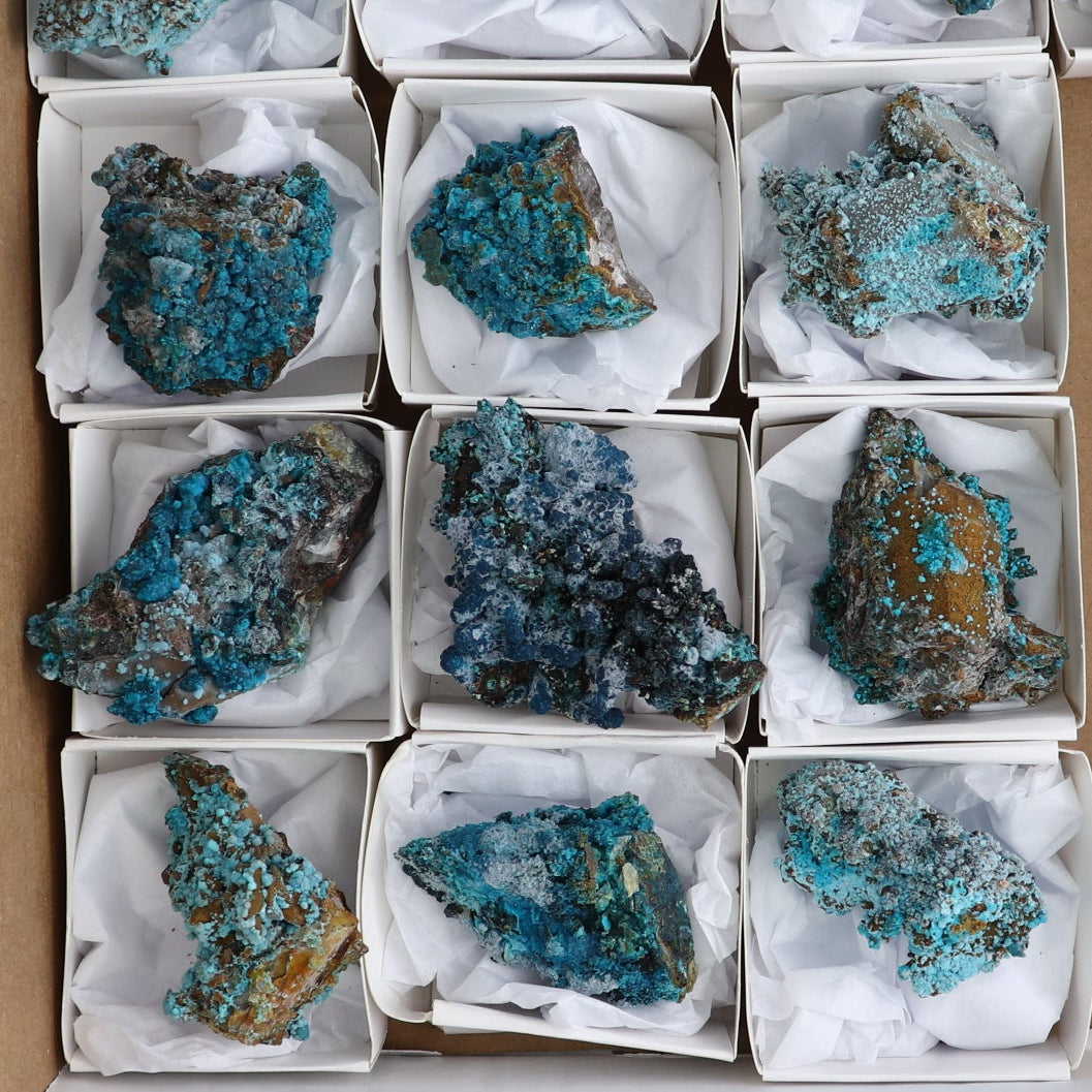 Chrysocolla on Quartz Roughs Set of 17