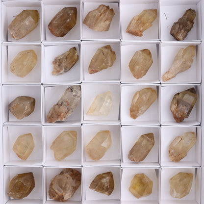 Congo Citrine Set of 35