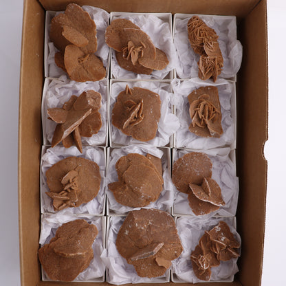 Desert Rose Set of 12 - Expert Wholesale and Supplier of Wholesale Crystals & Bulk Gemstones, ["Desert Rose","Freeforms","Morocco"]