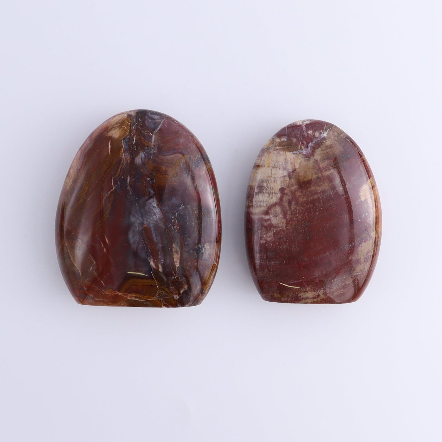 Petrified Wood Freeforms Set of 6 - Expert Wholesale and Supplier of Wholesale Crystals & Bulk Gemstones, ["Freeform","Freeforms","Madagascar","Petrified Wood"]