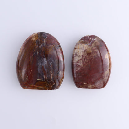 Petrified Wood Freeforms Set of 6 - Expert Wholesale and Supplier of Wholesale Crystals & Bulk Gemstones, ["Freeform","Freeforms","Madagascar","Petrified Wood"]