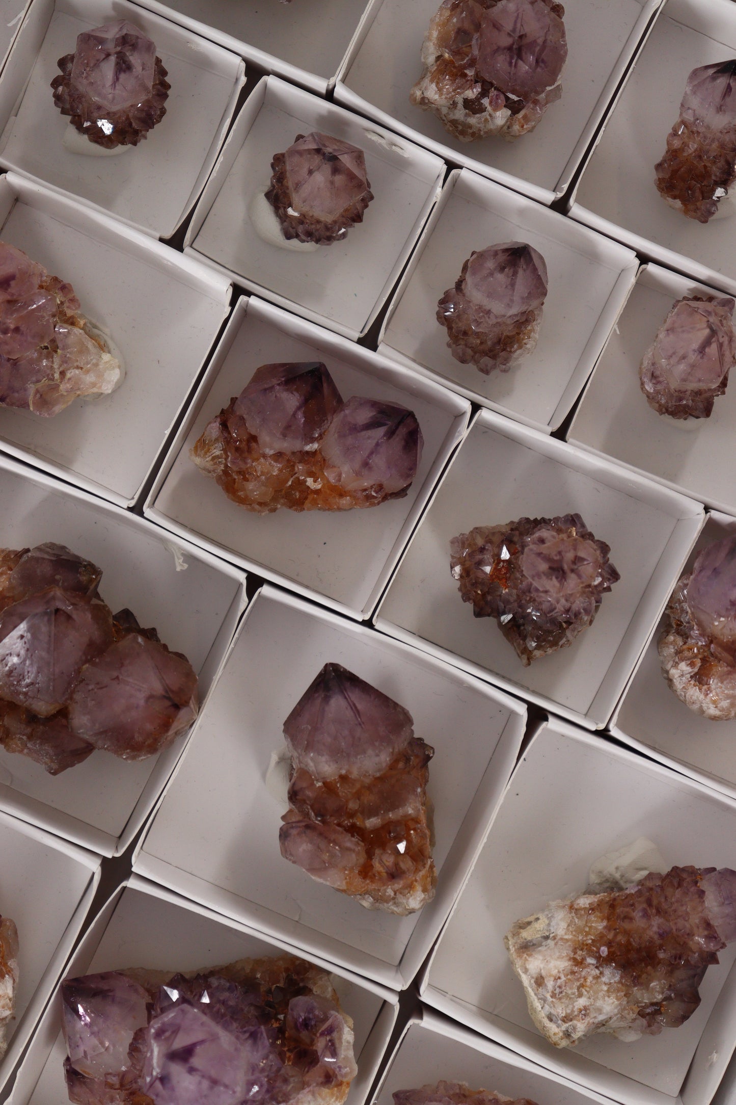 Cactus Quartz Flat - Expert Supplier of Wholesale Crystals & Bulk Gemstones