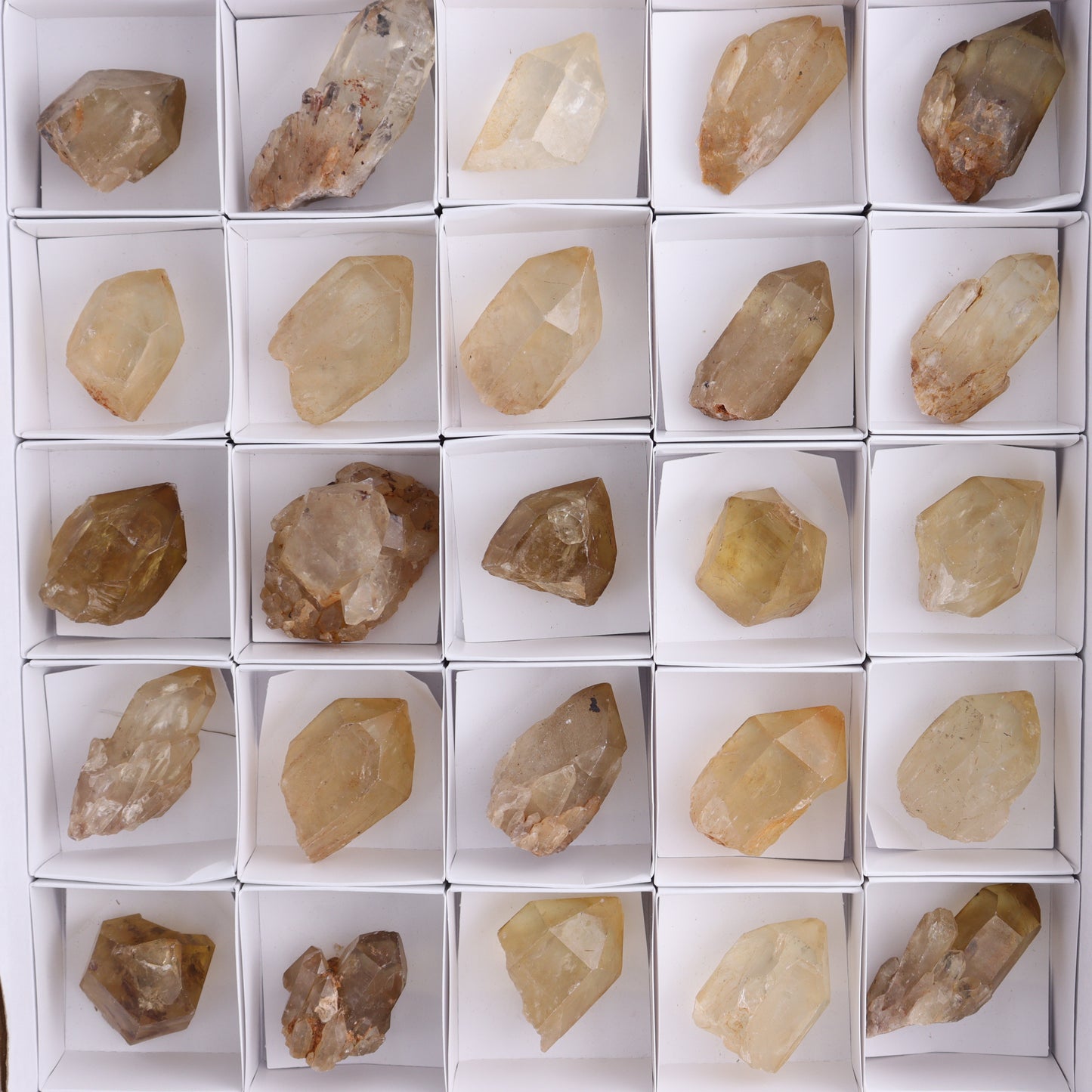 Congo Citrine Set of 35