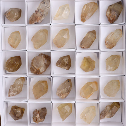 Congo Citrine Set of 35