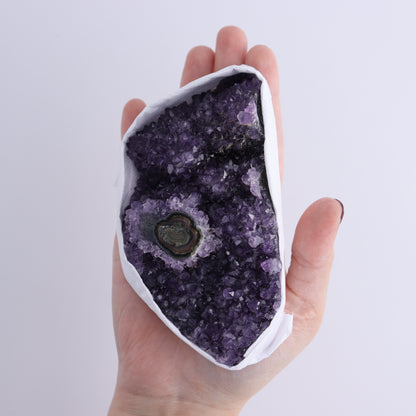 Uruguay Amethyst Clusters with "Eyes" Flat of 9 - Expert Wholesale and Supplier of Wholesale Crystals & Bulk Gemstones, ["Amethyst","Clusters","Eyes Amethyst","Uruguay"]