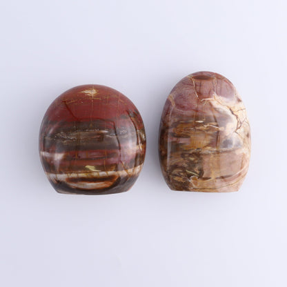 Petrified Wood Freeforms Set of 6 - Expert Wholesale and Supplier of Wholesale Crystals & Bulk Gemstones, ["Freeform","Freeforms","Madagascar","Petrified Wood"]