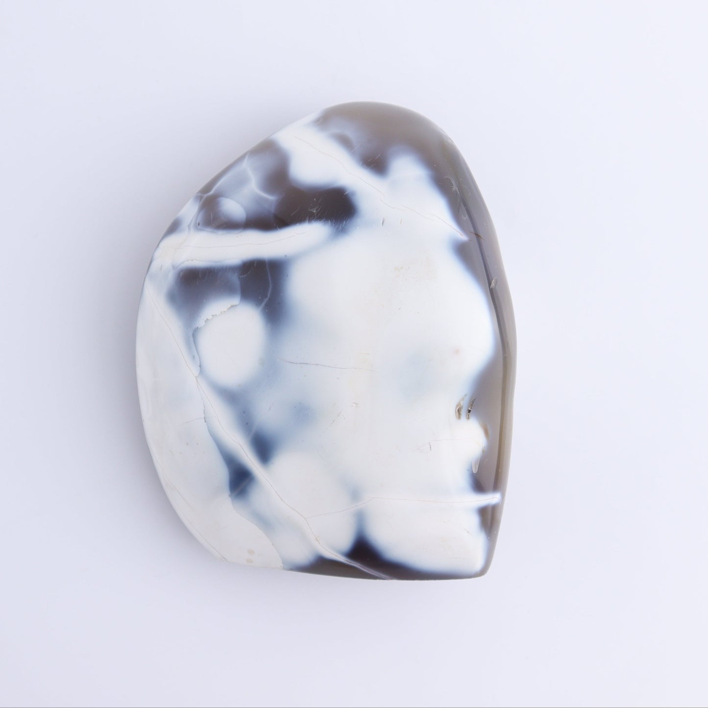 Orca Agate Freeform Set of 5 - Expert Wholesale and Supplier of Wholesale Crystals & Bulk Gemstones, ["Freeforms","Madagascar","Orca Agate"]