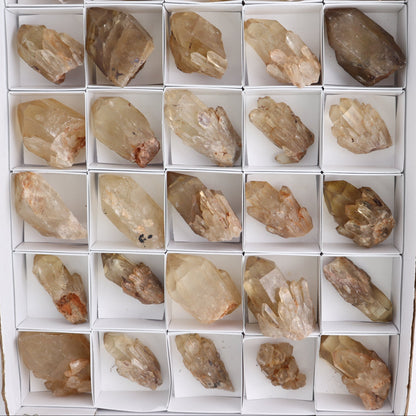 Congo Citrine Set of 35