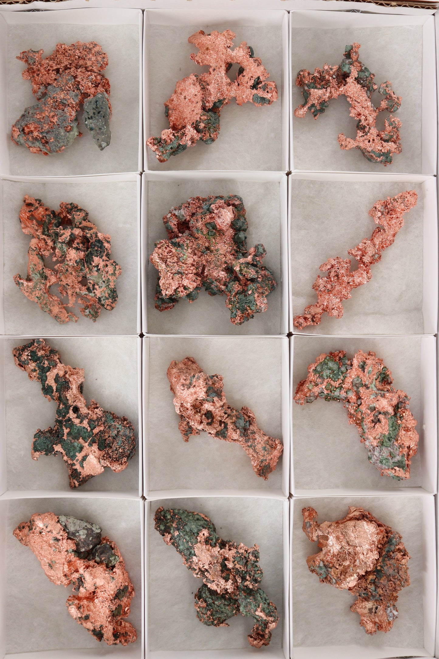 Native Copper 12pc Flat from Michigan - Expert Supplier of Wholesale Crystals & Bulk Gemstones