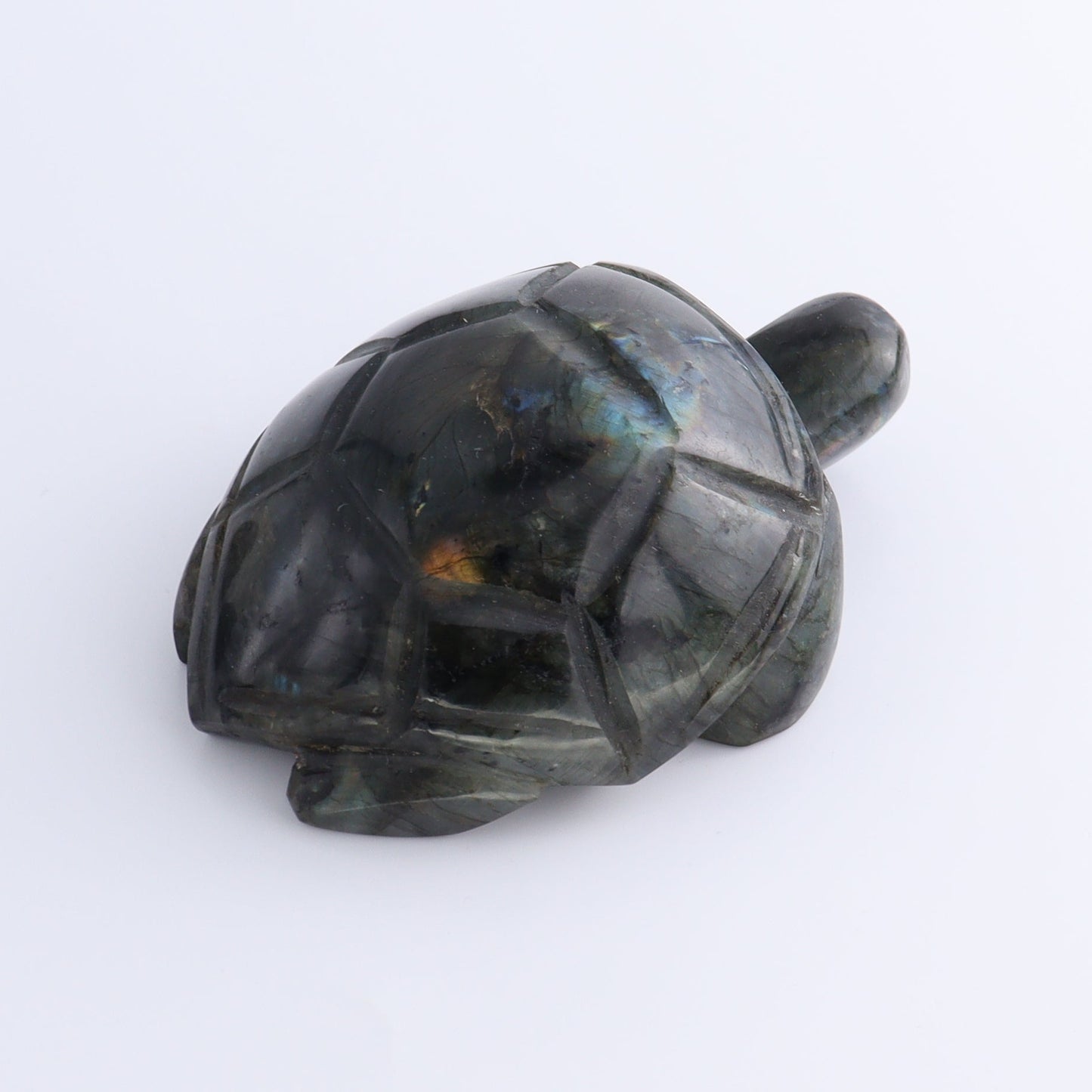 Labradorite Turtles Set of 5