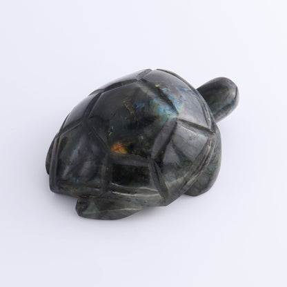 Labradorite Turtles Set of 5