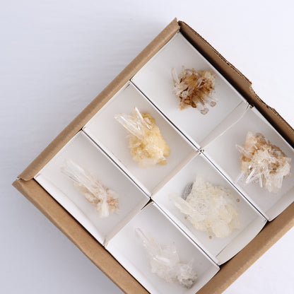 Lemurian Clusters from Columbia Set of 6
