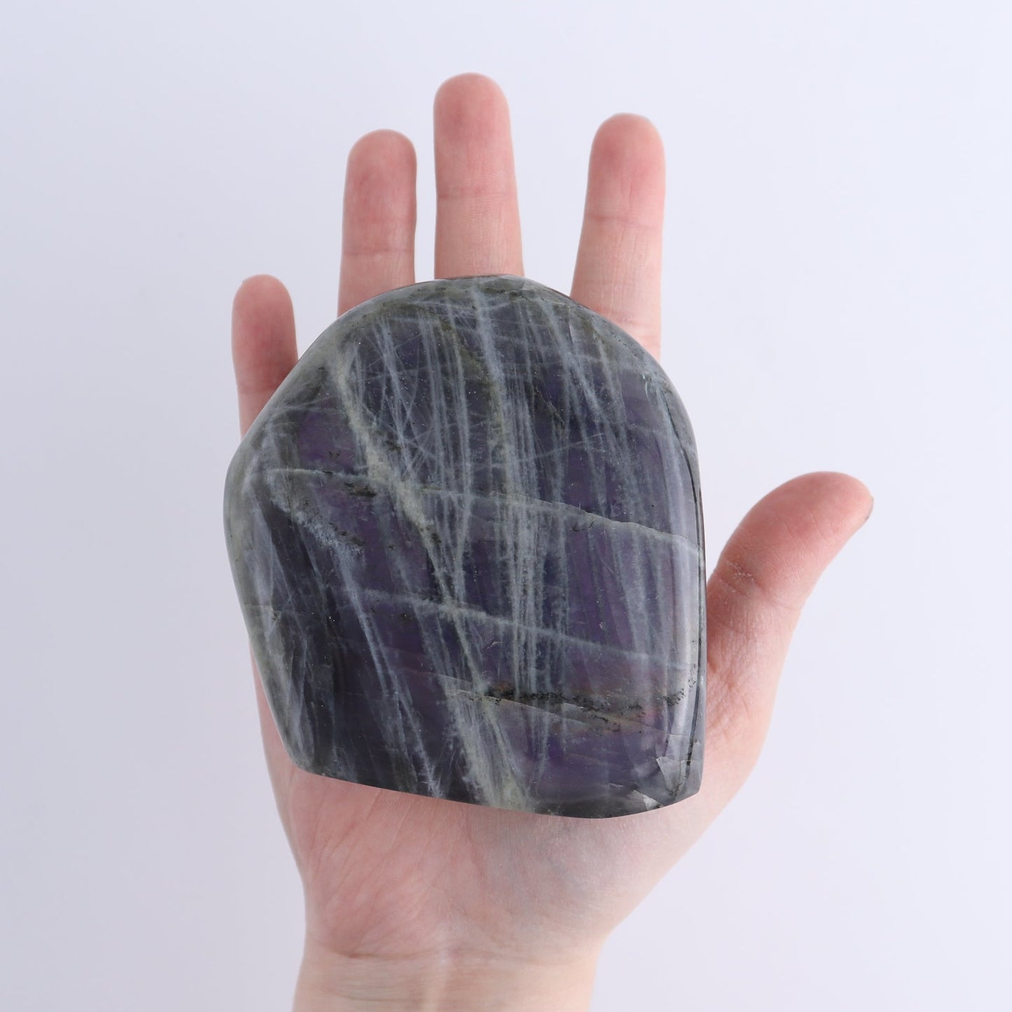 Labradorite Freeform Set of 5