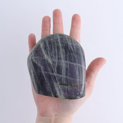 Labradorite Freeform Set of 5