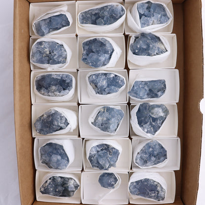 Celestite Clusters Set of 18 - Expert Wholesale and Supplier of Wholesale Crystals & Bulk Gemstones, ["Celestite","Clusters","Freeform"]