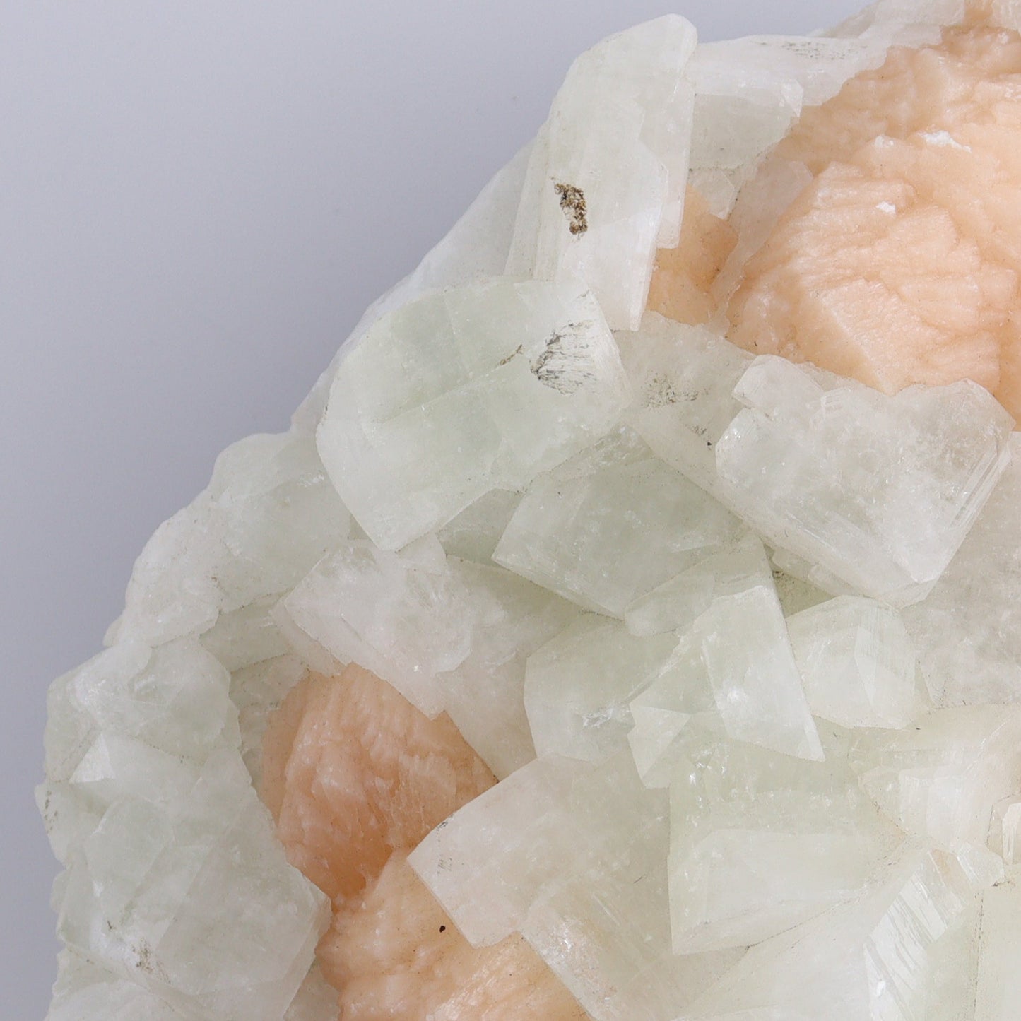 Large Apophyllite Cluster - Expert Wholesale and Supplier of Wholesale Crystals & Bulk Gemstones, ["Apophyllite","close_50","Clusters"]
