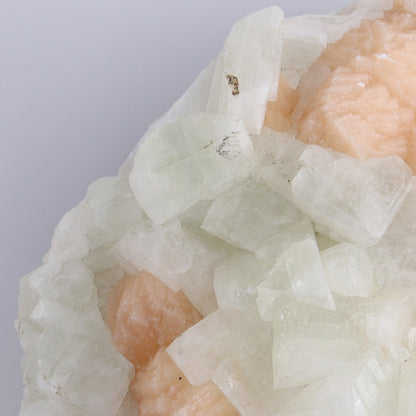 Large Apophyllite Cluster - Expert Wholesale and Supplier of Wholesale Crystals & Bulk Gemstones, ["Apophyllite","close_50","Clusters"]