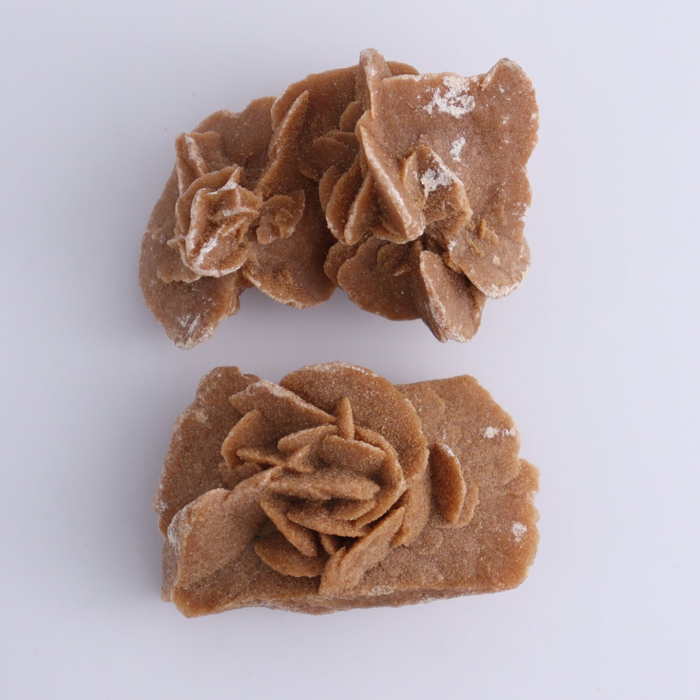 Desert Rose Set of 12 - Expert Wholesale and Supplier of Wholesale Crystals & Bulk Gemstones, ["Desert Rose","Freeforms","Morocco"]