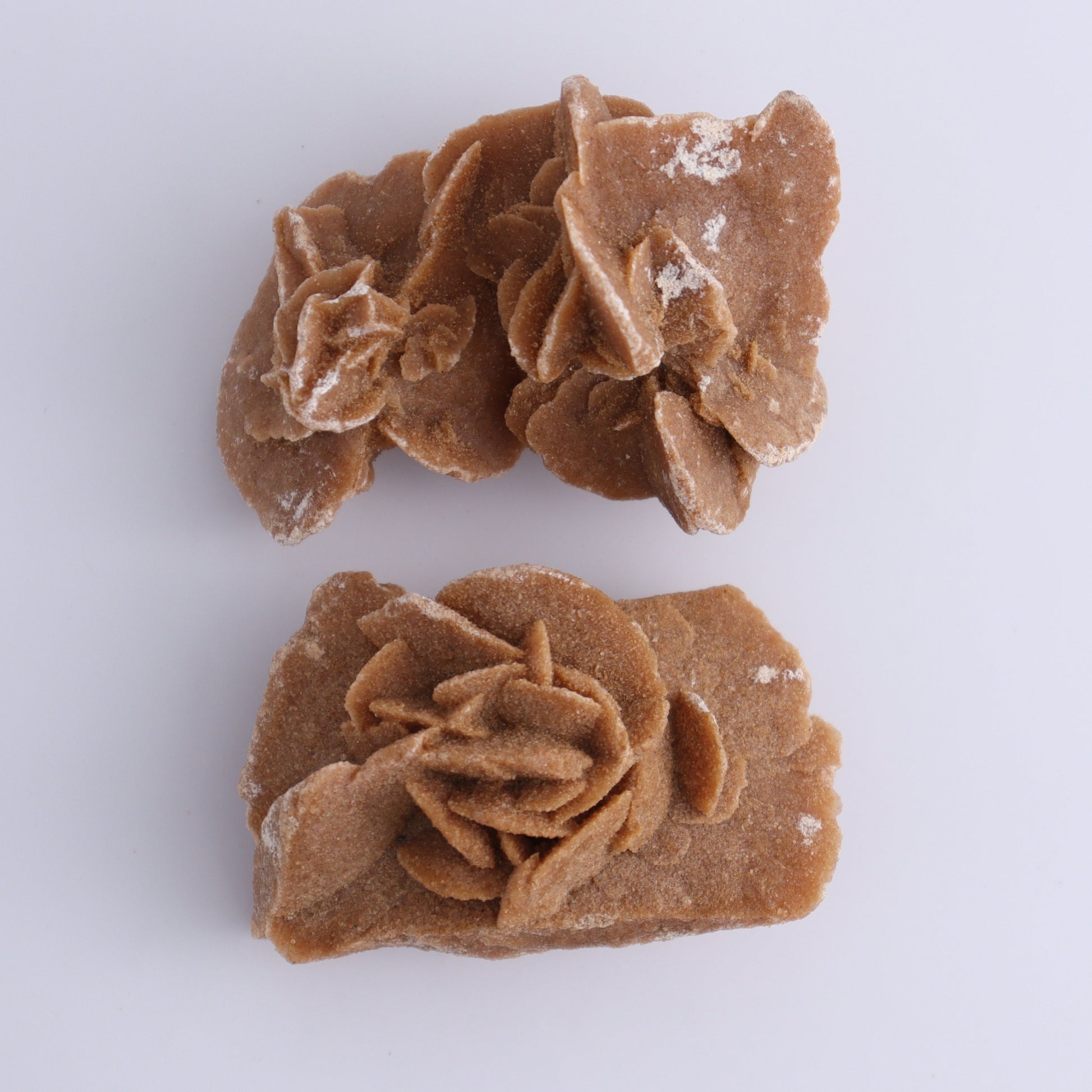 Desert Rose Set of 12 - Expert Wholesale and Supplier of Wholesale Crystals & Bulk Gemstones, ["Desert Rose","Freeforms","Morocco"]