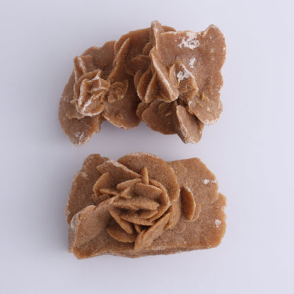 Desert Rose Set of 12 - Expert Wholesale and Supplier of Wholesale Crystals & Bulk Gemstones, ["Desert Rose","Freeforms","Morocco"]