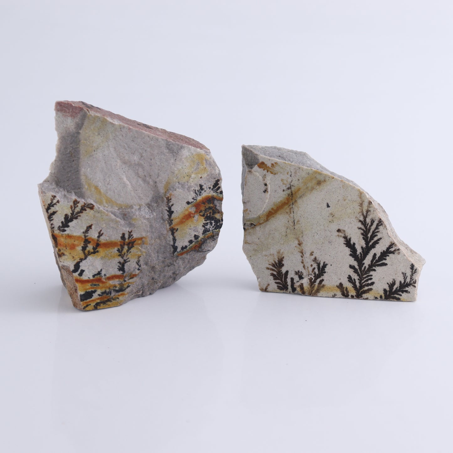 Dendrites Flat Set of 6 - Expert Wholesale and Supplier of Wholesale Crystals & Bulk Gemstones, ["Dendrite","Flats"]