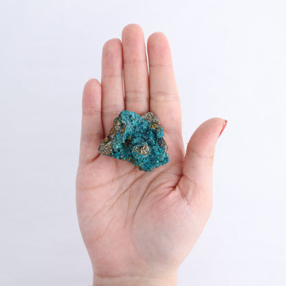 Chrysocolla on Quartz Roughs Set of 18