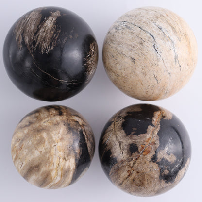 Petrified Wood Spheres Set of 4 - Expert Wholesale and Supplier of Wholesale Crystals & Bulk Gemstones, ["Indonesia","Petrified Wood","Spheres"]