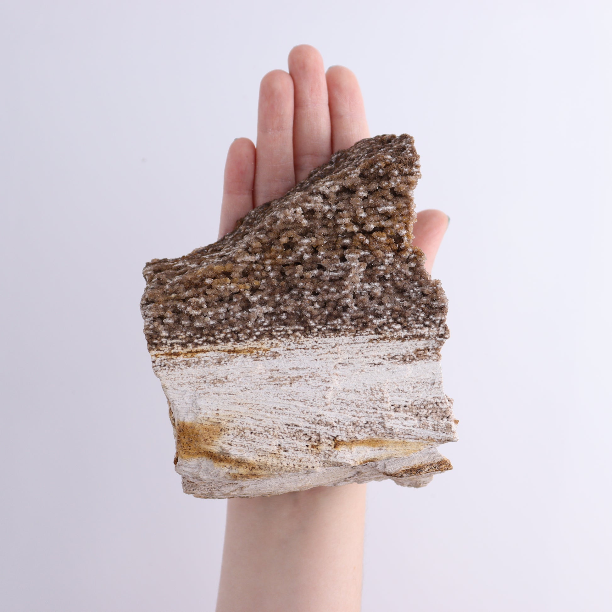 Petrified Wood Rough Set of 3 - Expert Wholesale and Supplier of Wholesale Crystals & Bulk Gemstones, ["Freeforms","Petrified Wood","Rough"]
