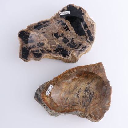 Petrified Wood Bowls Set of 2 - Expert Wholesale and Supplier of Wholesale Crystals & Bulk Gemstones, ["Bowls","Indonesia","Petrified Wood"]