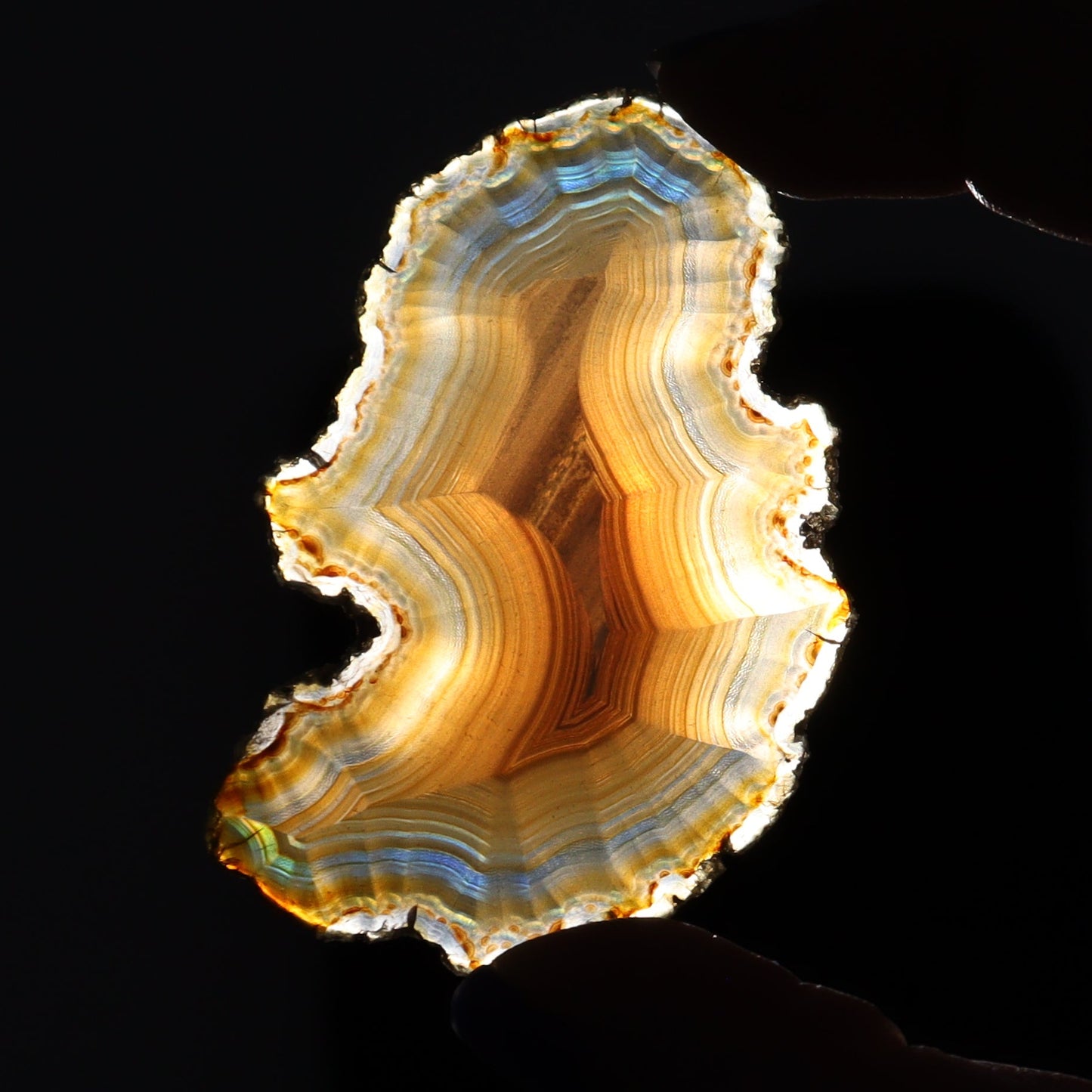 Iris Agate Slices Set of 8 - Expert Wholesale and Supplier of Wholesale Crystals & Bulk Gemstones, ["Agate","Iris Agate","Slices and Slabs"]