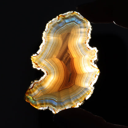 Iris Agate Slices Set of 8 - Expert Wholesale and Supplier of Wholesale Crystals & Bulk Gemstones, ["Agate","Iris Agate","Slices and Slabs"]