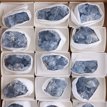 Celestite Clusters Set of 18 - Expert Wholesale and Supplier of Wholesale Crystals & Bulk Gemstones, ["Celestite","Clusters","Freeform"]
